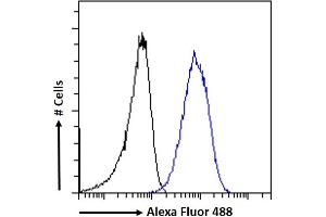(ABIN184935) Flow cytometric analysis of paraformaldehyde fixed A431 cells (blue line), permeabilized with 0. (RNF13 anticorps  (C-Term))