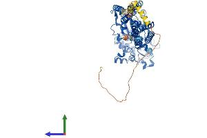 AlphaFold protein structure predicition of Mouse Recombinant Gdpd5 Protein, UniprotID Q640M6