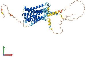AlphaFold protein structure predicition of Human Recombinant PTGER1 Protein, UniprotID P34995