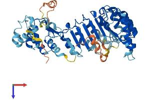 AlphaFold protein structure predicition of Human Recombinant PRAMEF22 Protein, UniprotID A3QJZ6