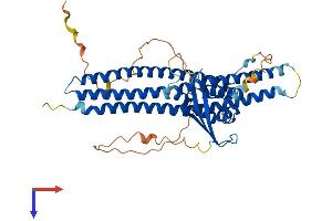 AlphaFold protein structure predicition of Human Recombinant SNX30 Protein, UniprotID Q5VWJ9