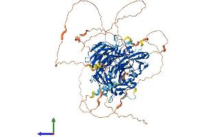 AlphaFold protein structure predicition of Mouse Recombinant Gtf3c2 Protein, UniprotID Q8BL74