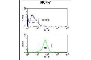DIO2 Antibody (Center) (ABIN652664 and ABIN2842445) flow cytometric analysis of MCF-7 cells (bottom histogram) compared to a negative control cell (top histogram).