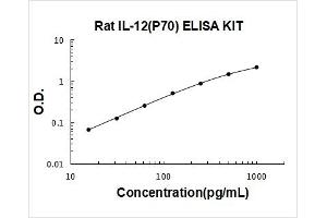 Interleukin 12 alpha (IL12A) ELISA Kit