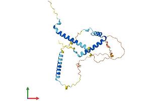 AlphaFold protein structure predicition of Mouse Recombinant Gemin8 Protein, UniprotID Q8BHE1