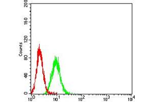 Flow cytometric analysis of K562 cells using LILRA3 mouse mAb (green) and negative control (red).