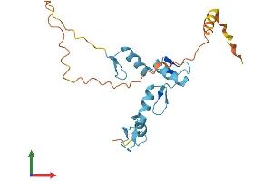 AlphaFold protein structure predicition of Human Recombinant ZFP41 Protein, UniprotID Q8N8Y5