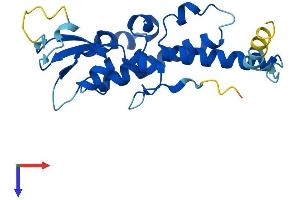 AlphaFold protein structure predicition of Human Recombinant GINS3 Protein, UniprotID Q9BRX5