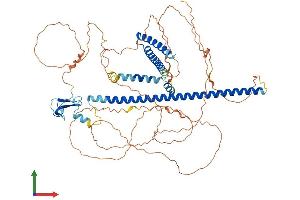 AlphaFold protein structure predicition of Human Recombinant PHF21A Protein, UniprotID Q96BD5