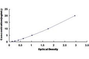 Typical standard curve (TPM2 Kit ELISA)