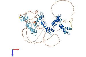 AlphaFold protein structure predicition of Human Recombinant ZNF415 Protein, UniprotID Q09FC8