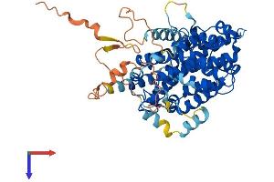 AlphaFold protein structure predicition of Human Recombinant SESN3 Protein, UniprotID P58005