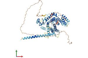 AlphaFold protein structure predicition of Human Recombinant SPATA16 Protein, UniprotID Q9BXB7