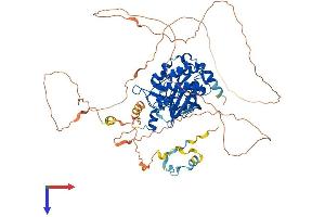 AlphaFold protein structure predicition of Mouse Recombinant Pak6 Protein, UniprotID Q3ULB5