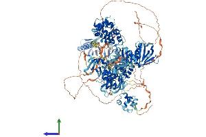 AlphaFold protein structure predicition of Mouse Recombinant Arap1 Protein, UniprotID Q4LDD4