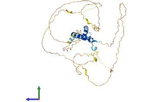 AlphaFold protein structure predicition of Mouse Recombinant Tcf7 Protein, UniprotID Q00417