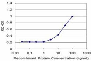 Detection limit for recombinant GST tagged ZNF70 is approximately 3ng/ml as a capture antibody. (ZNF70 anticorps  (AA 1-446))