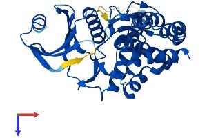 AlphaFold protein structure predicition of Human Recombinant FN3K Protein, UniprotID Q9H479