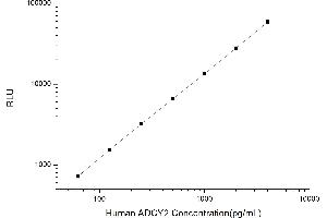 Typical standard curve (ADCY2 Kit CLIA)