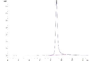 The purity of Mouse GFRA3 is greater than 95 % as determined by SEC-HPLC.