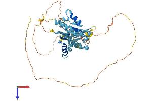 AlphaFold protein structure predicition of Mouse Recombinant Pcbp4 Protein, UniprotID P57724