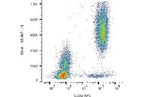 Flow cytometry analysis (surface staining) of human peripheral blood cells with anti-human CD24 (SN3) APC.