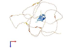 AlphaFold protein structure predicition of Human Recombinant RBMY1A1 Protein, UniprotID P0DJD3
