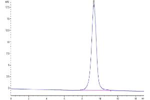 The purity of Cynomolgus CD83 is greater than 95 % as determined by SEC-HPLC.