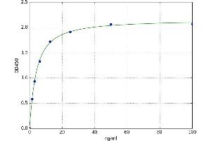 Aminolevulinate Dehydratase (ALAD) ELISA Kit