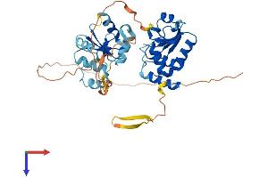 AlphaFold protein structure predicition of Human Recombinant DUSP7 Protein, UniprotID Q16829