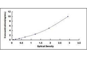 Crystallin, alpha B (CRYAB) ELISA Kit