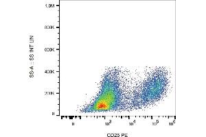 Flow cytometry analysis (surface staining) of PHA-stimulated human PBMC with anti-human CD25 (MEM-181) PE. (CD25 anticorps  (PE))