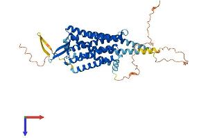 AlphaFold protein structure predicition of Human Recombinant CCKAR Protein, UniprotID P32238