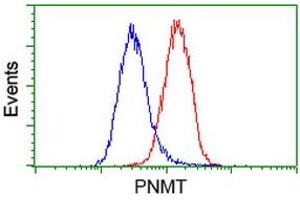 Flow cytometric Analysis of Hela cells, using anti-PNMT antibody (ABIN2454538), (Red), compared to a nonspecific negative control antibody, (Blue). (PNMT anticorps)