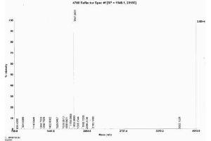 Urocortin 3 (UCN3) peptide (KLH)