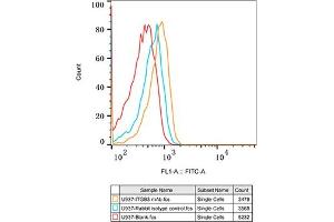 Flow cytometry: U937 cells were stained with Rabbit IgG isotype control (, 2. (Integrin beta 3 anticorps)
