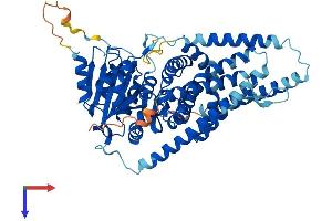 AlphaFold protein structure predicition of Mouse Recombinant Has1 Protein, UniprotID Q61647