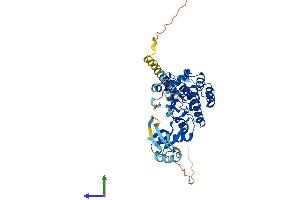 AlphaFold protein structure predicition of Mouse Recombinant Styk1 Protein, UniprotID Q6J9G1