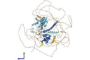 AlphaFold protein structure predicition of Human Recombinant NFRKB Protein, UniprotID Q6P4R8