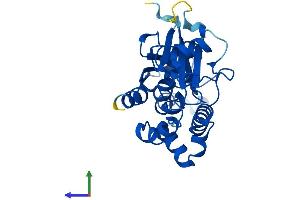 AlphaFold protein structure predicition of Mouse Recombinant Atg5 Protein, UniprotID Q99J83