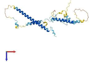 AlphaFold protein structure predicition of Human Recombinant LENG1 Protein, UniprotID Q96BZ8