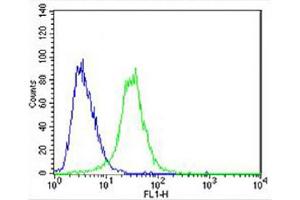 Overlay histogram showing U-87 MG cells stained with (ABIN654618 and ABIN2844316) (green line).