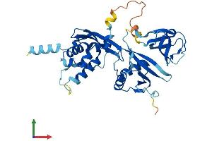 AlphaFold protein structure predicition of Mouse Recombinant Ncf4 Protein, UniprotID P97369