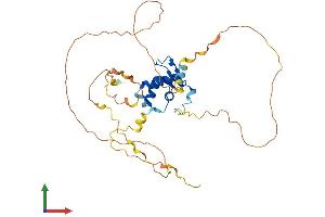 AlphaFold protein structure predicition of Mouse Recombinant Foxi1 Protein, UniprotID Q922I5