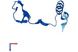 AlphaFold protein structure predicition of Human Recombinant NOP10 Protein, UniprotID Q9NPE3