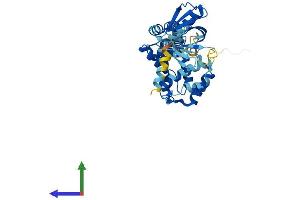 AlphaFold protein structure predicition of Mouse Recombinant Cyth4 Protein, UniprotID Q80YW0