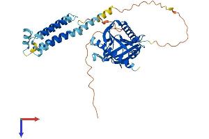 AlphaFold protein structure predicition of Mouse Recombinant Stard3 Protein, UniprotID Q61542