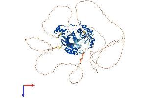 AlphaFold protein structure predicition of Human Recombinant MARK1 Protein, UniprotID Q9P0L2