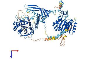 AlphaFold protein structure predicition of Human Recombinant CHSY1 Protein, UniprotID Q86X52