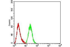 Flow cytometric analysis of Hela cells using ARF1 mouse mAb (green) and negative control (red). (ARF1 anticorps  (AA 76-182))